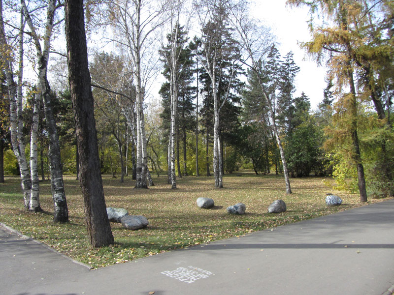  "��� ������"