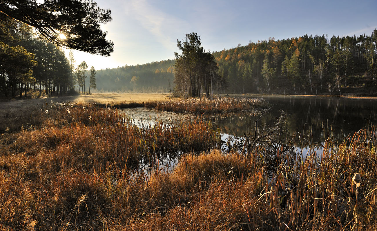 �� �����...