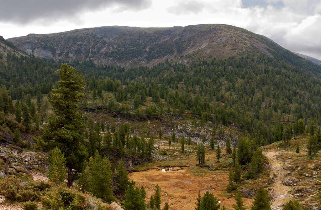 �������� ���� �����-������