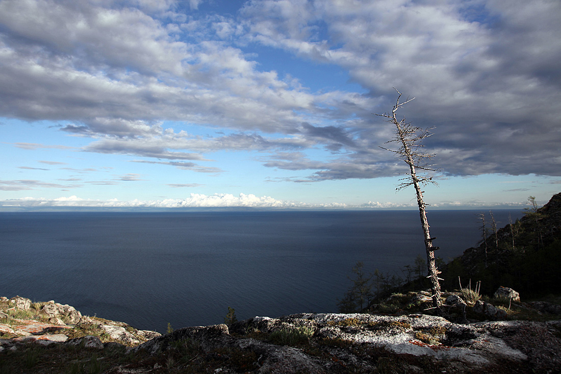 ����� �� ���� ������