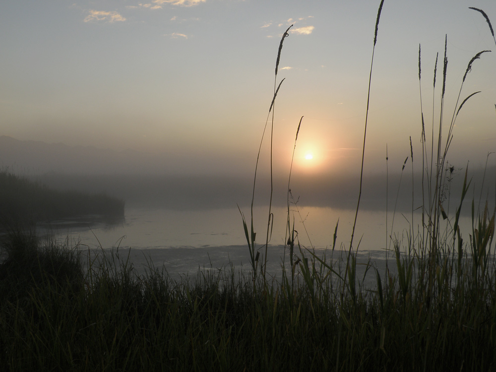 ���� ��������