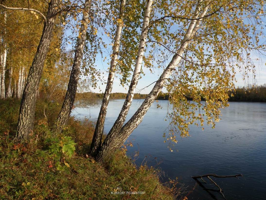 ����� 2012, ���� ���, �������� �� �������