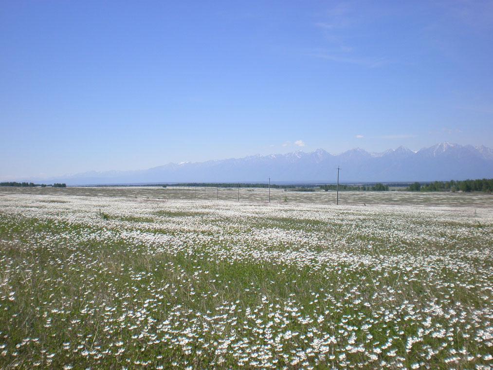 ������ � �����