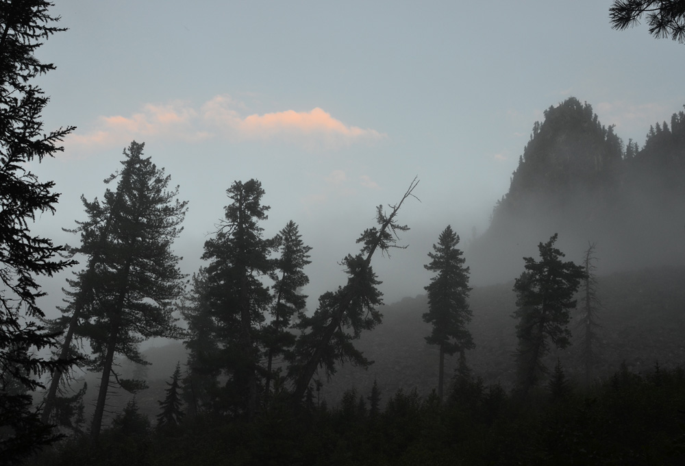 ��������� �����