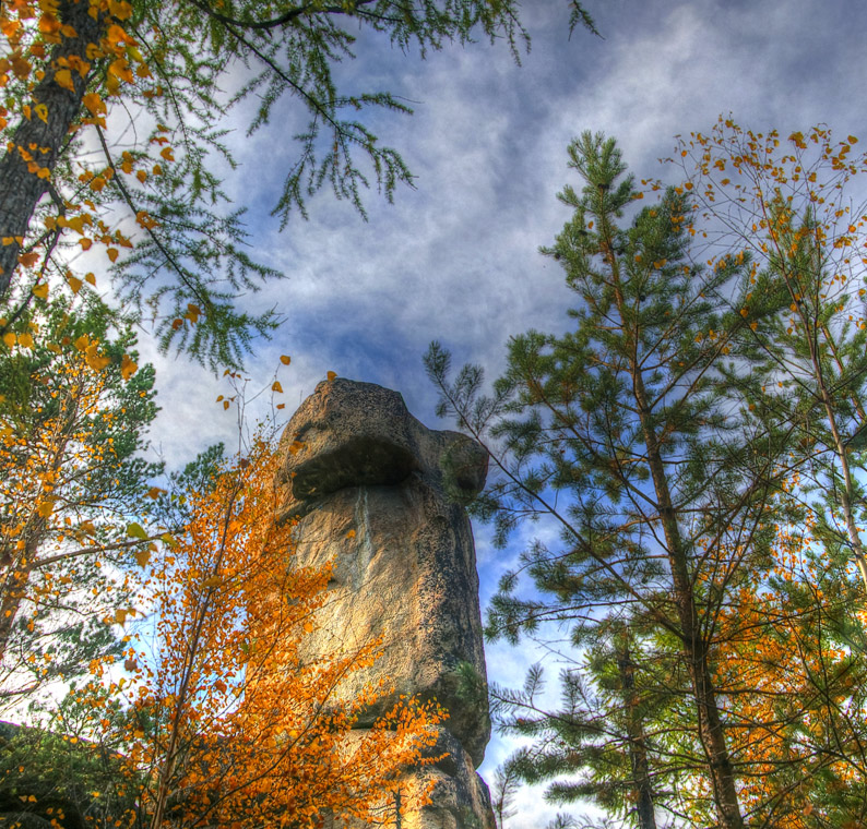 �������� �����