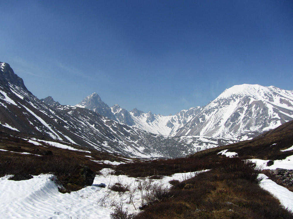 ��� �� �������� ������ ������