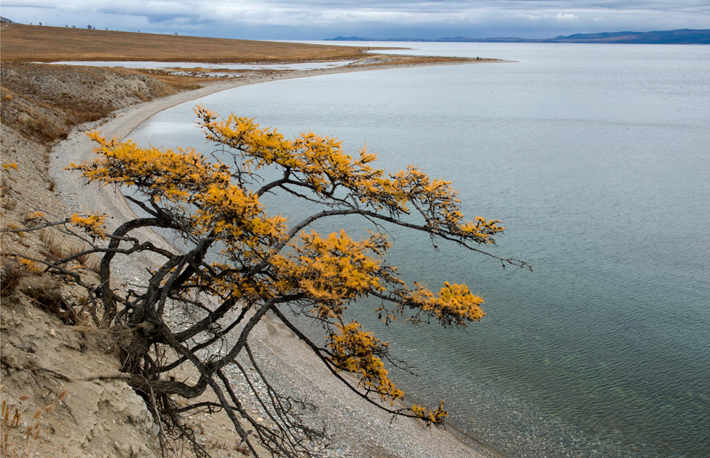 �� ������ �������