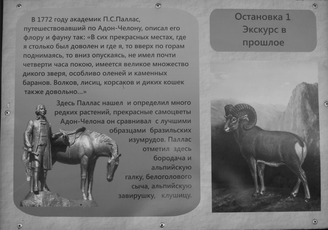 ������������� �������� ����� �������� ���� - ������