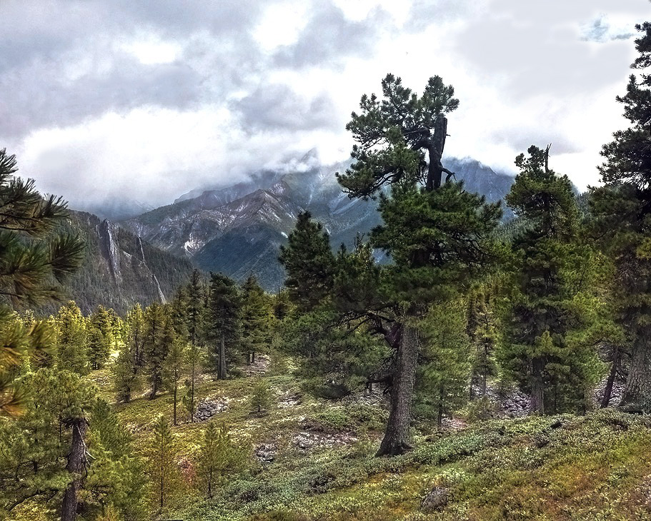 ���� �������� �����