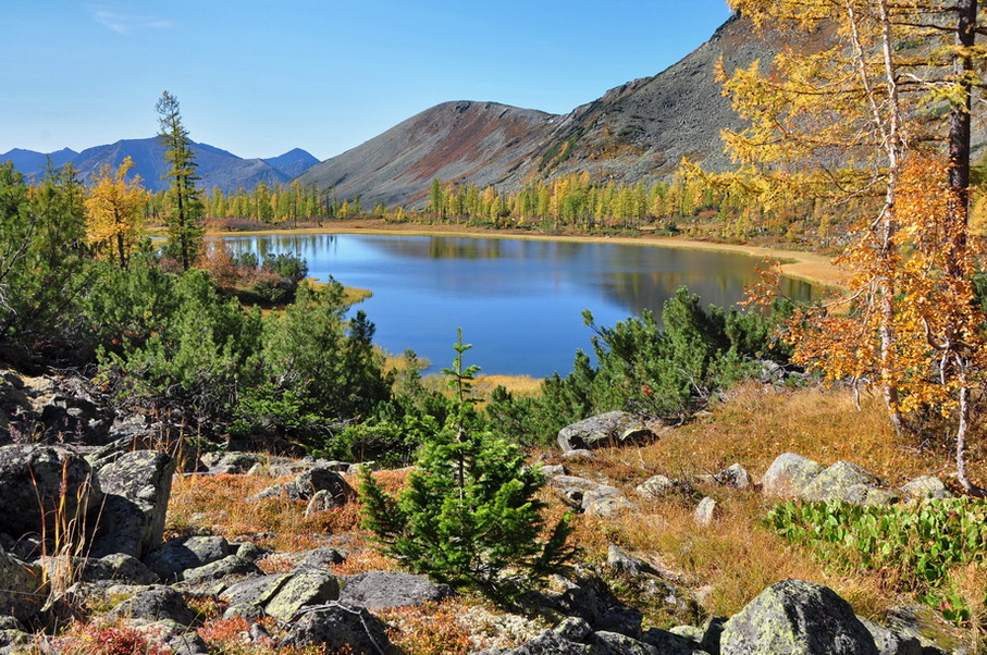 ��������, �����.