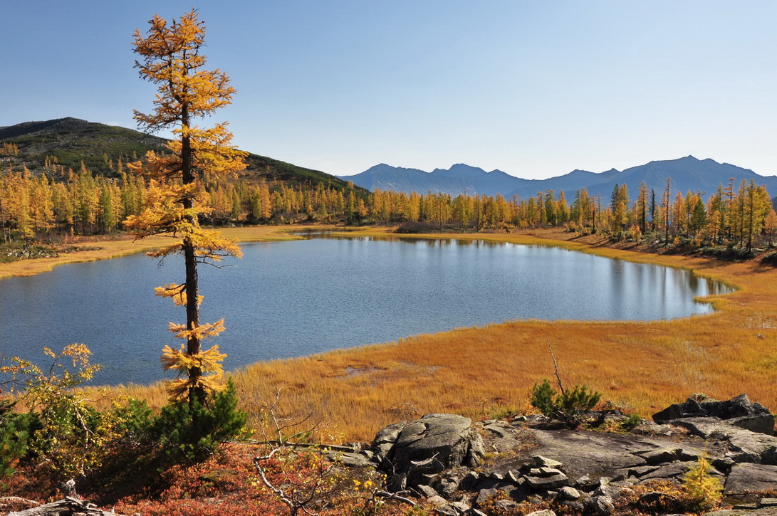 ��������, �����.