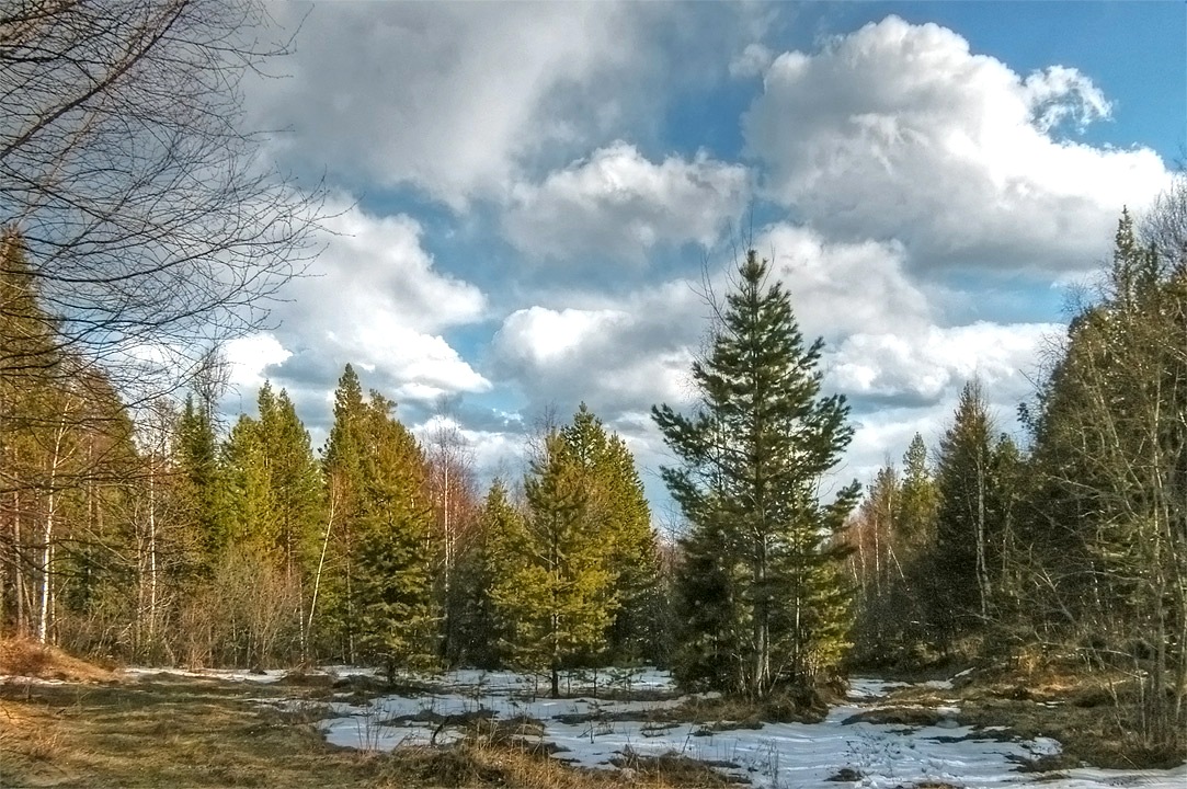 ������� � ����