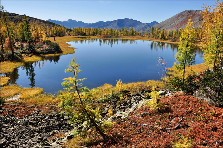 ����� ����, ��������.