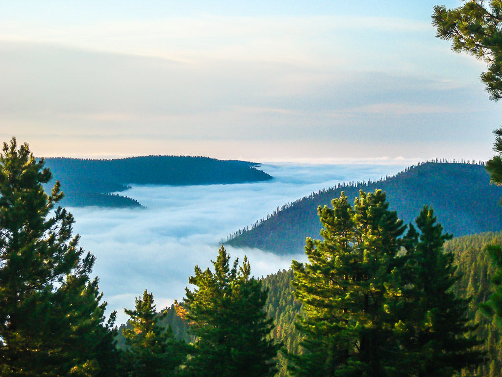 ����������� ����� �������� ������������...