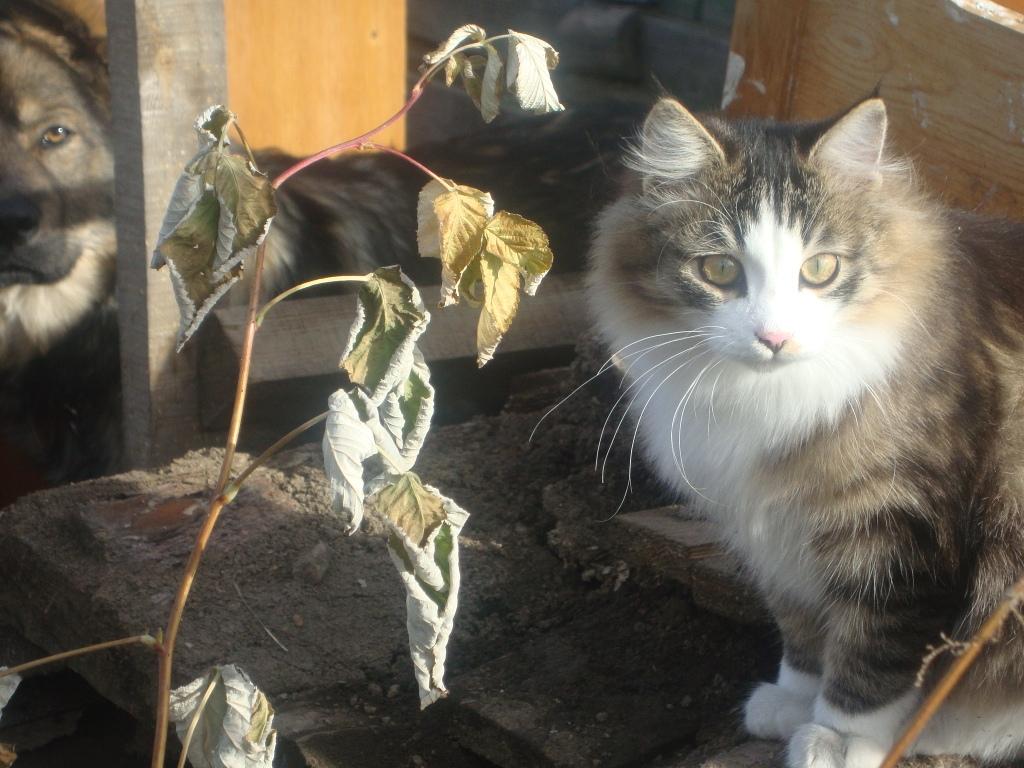 ���������� �� �����