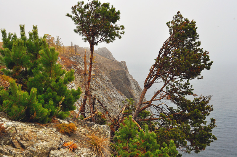 �� ������