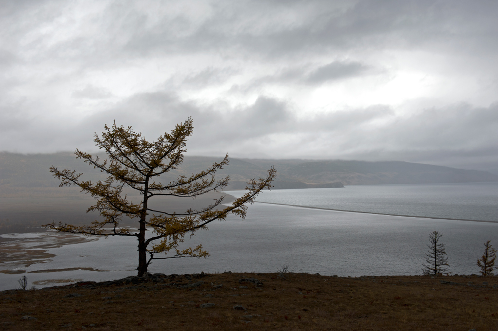 ��������� ������ � ���� ������� �����