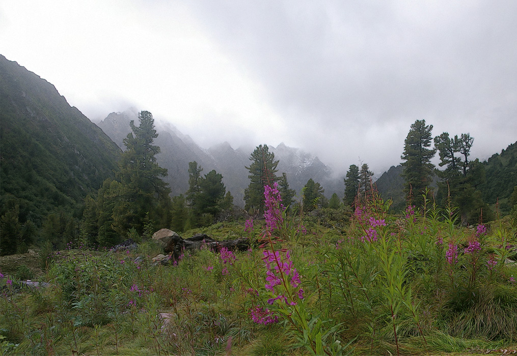 ��������� ����-���