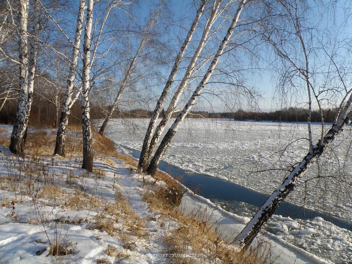 ���� ���, ��������