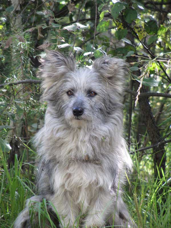 ��������� �������...