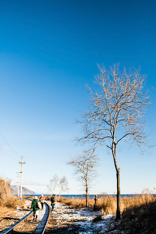 �� ������