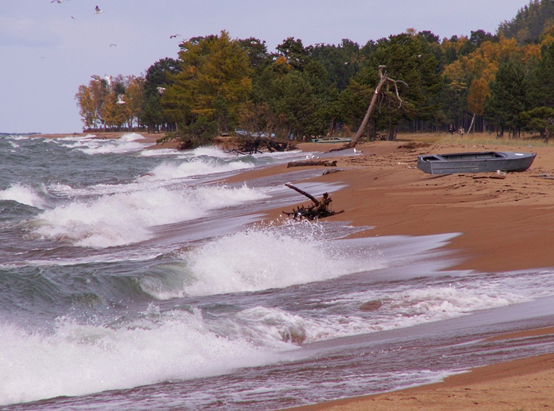 ����������� �����