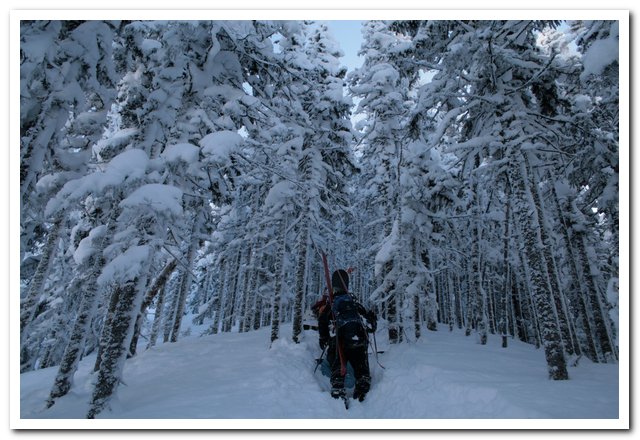 ������� "���������� ����" � ���������, ������� ����..