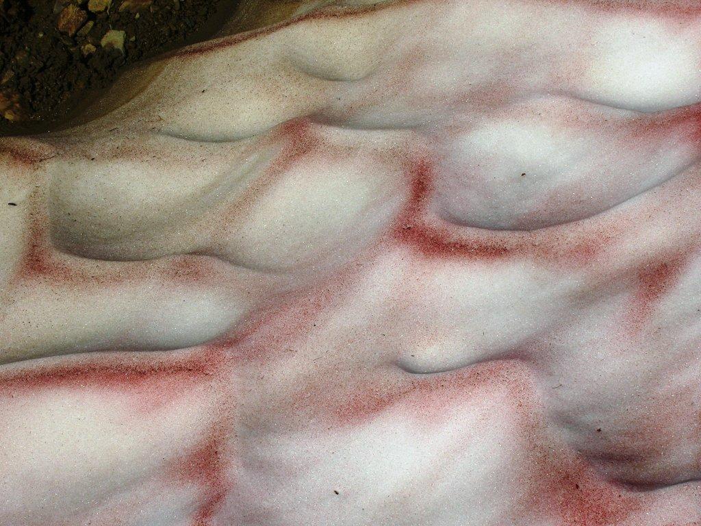 ������� ��������� ����