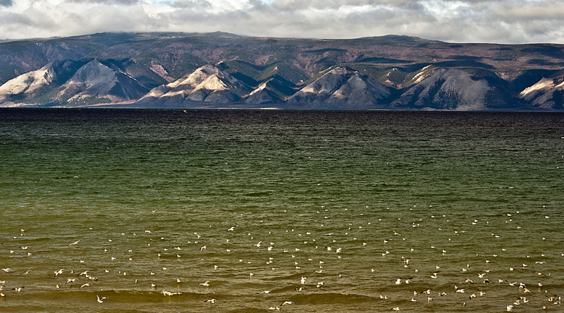 ����� � ����� ����