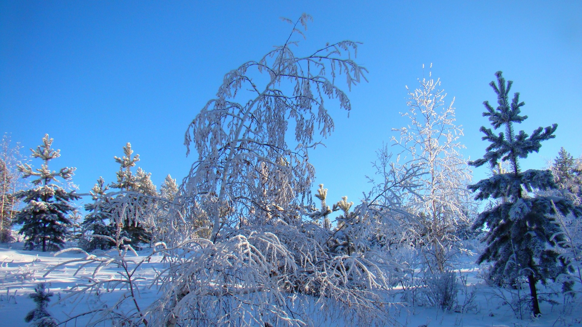 �� ������� ����...