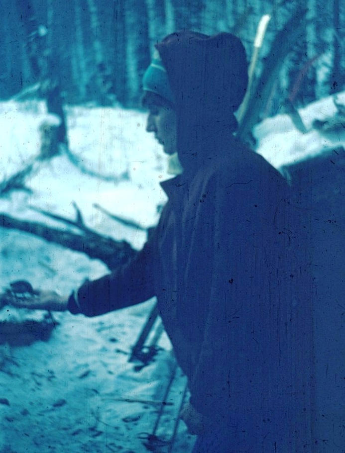 ���������� ���������.