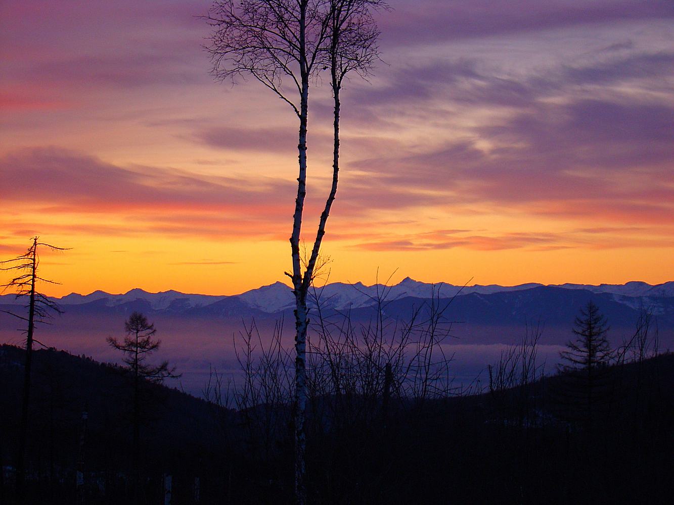 �������������� �������