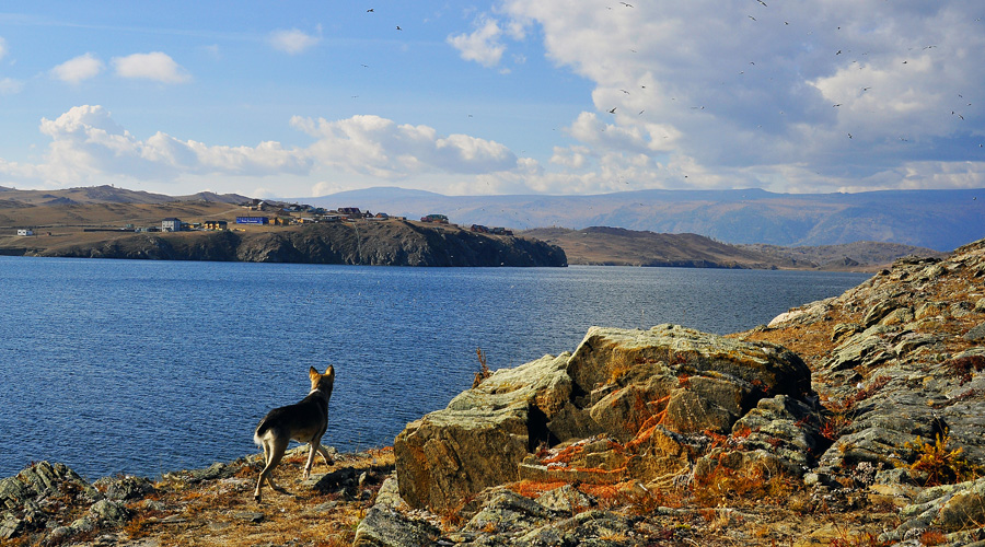 ����� ��������