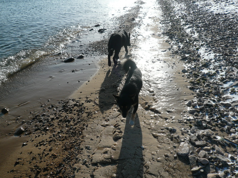 ��� �����. ������������ ���������.