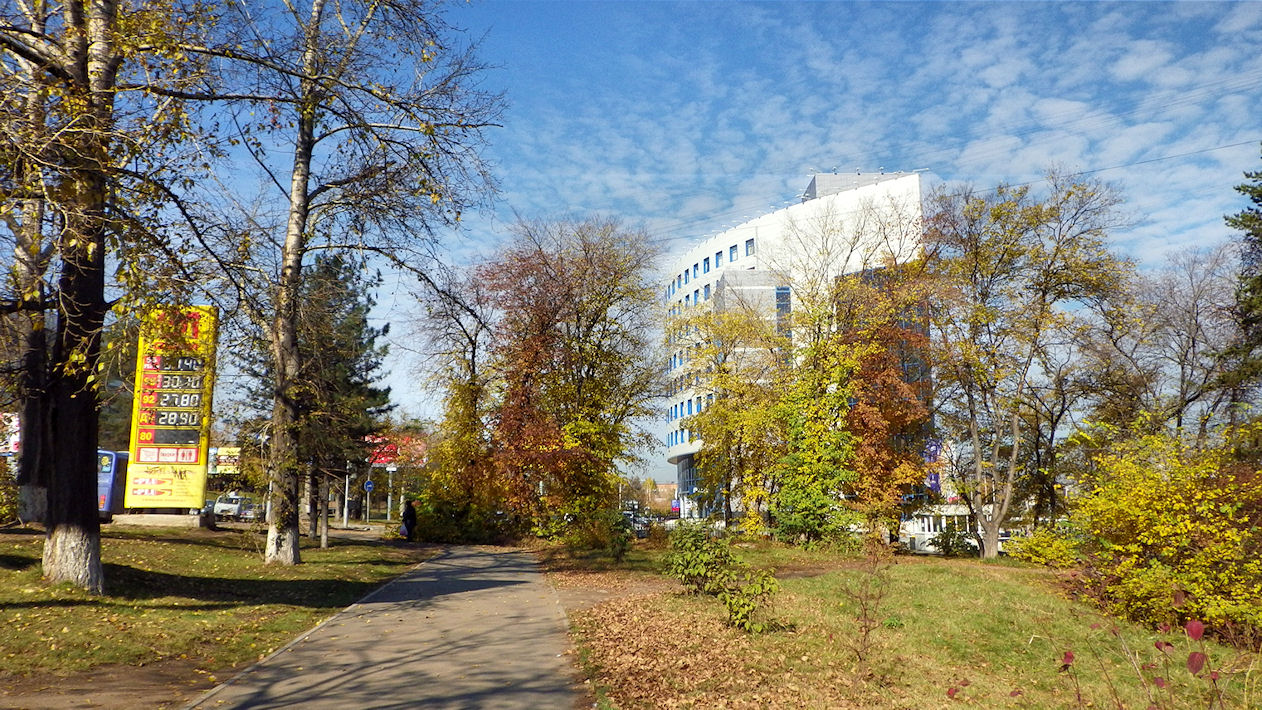 Осень в Академгородке