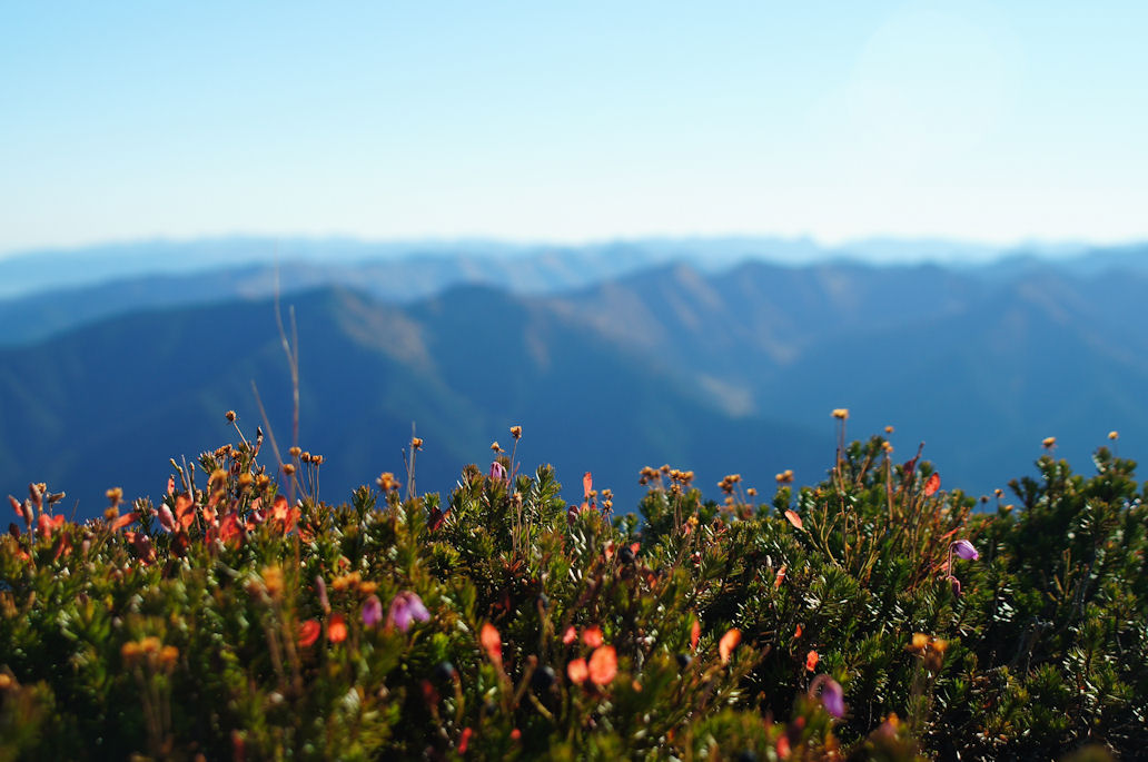 �� ���������� ����