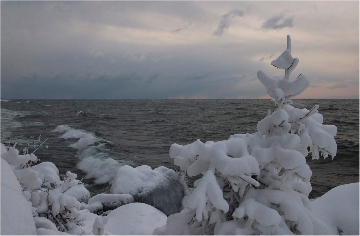 ����������� ������