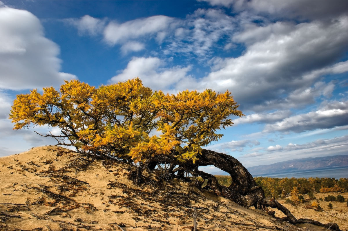 �� ����� ��� �������.