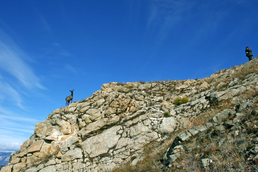           (# 66, f = 18 )