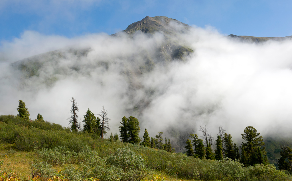 ��� ��������� �����