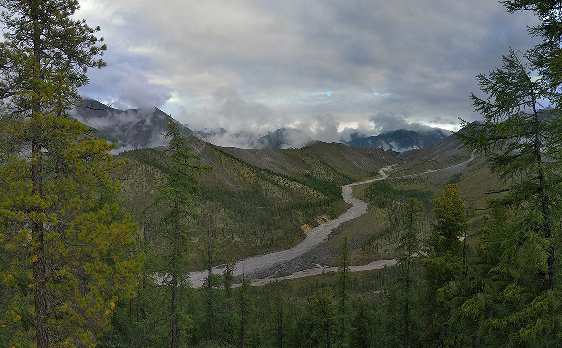 �������� �������