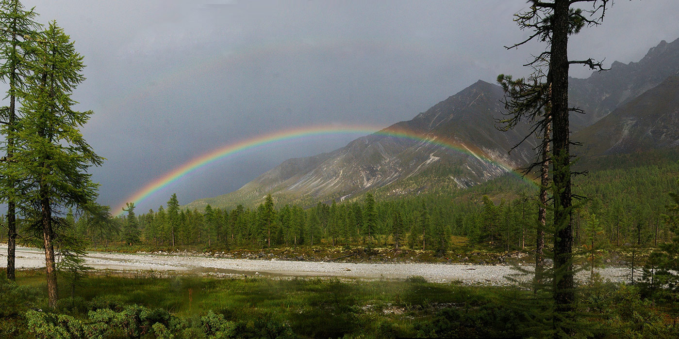 ������ ������