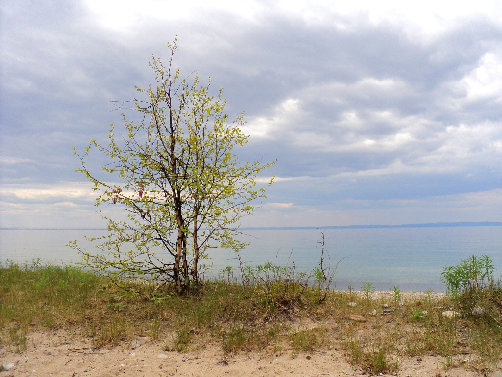 ����� �������