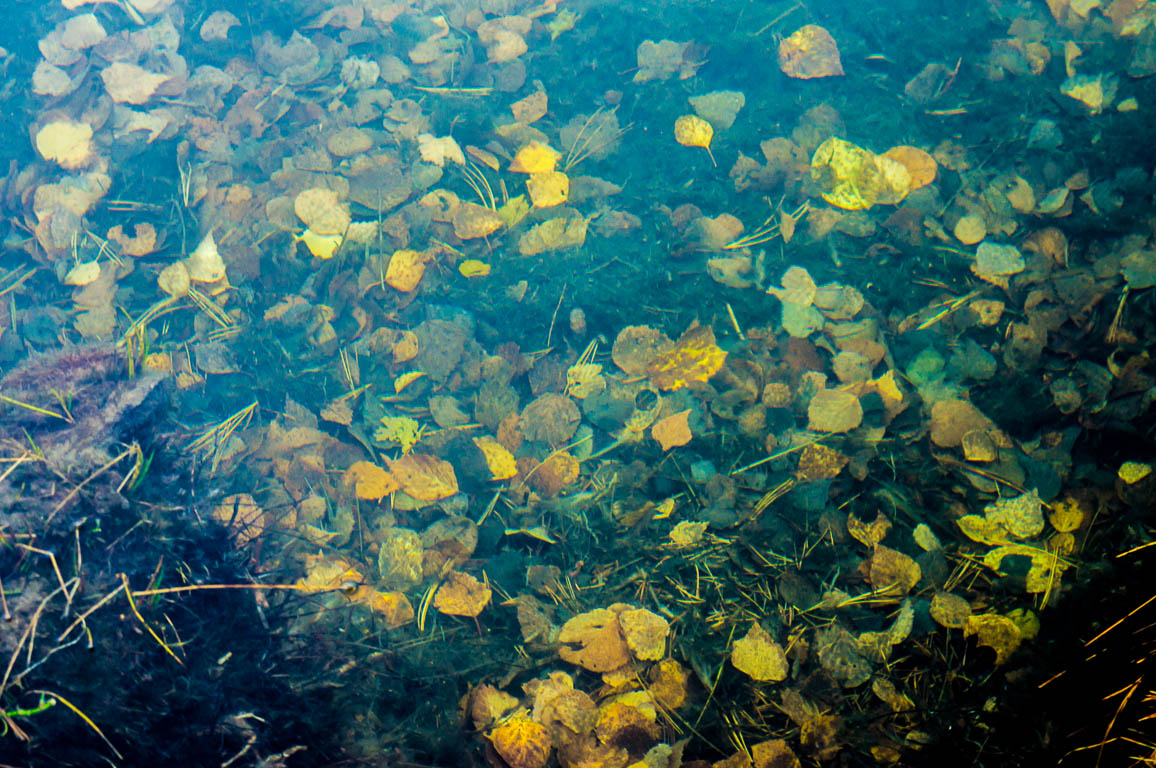 ��� � �����������... (������ ��� �����)