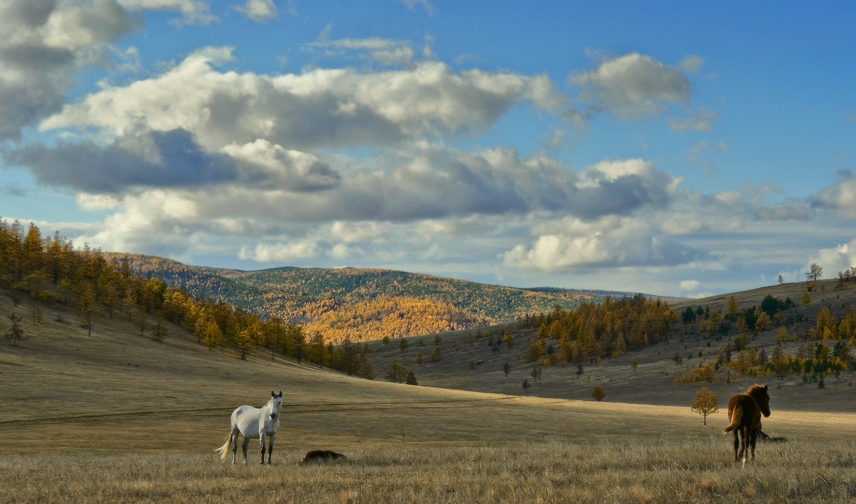 �������� �� �����...