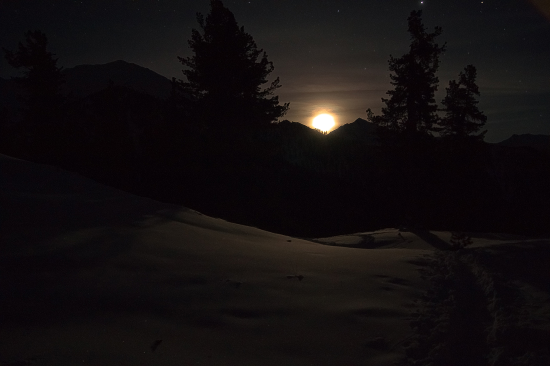 ������ ����