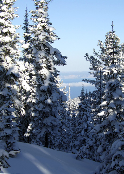 � ���������� ��������