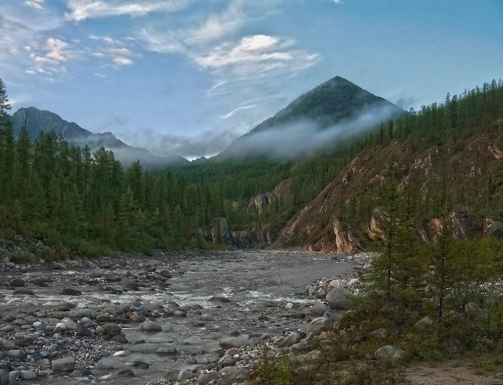 ����, ���� - �� �� ���?