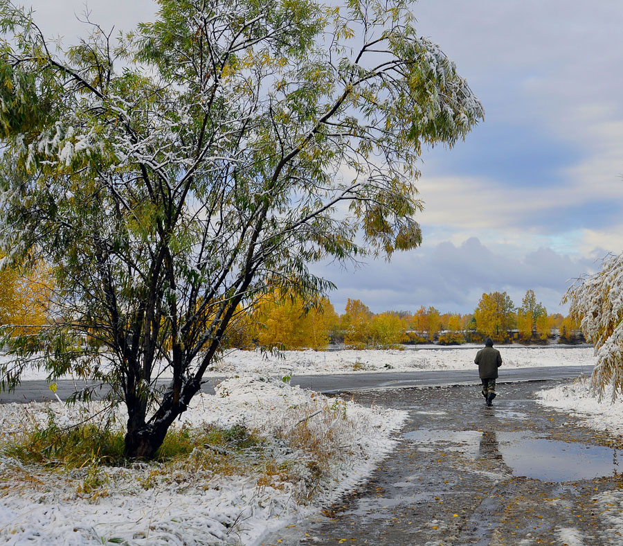 Осенняя прогулка