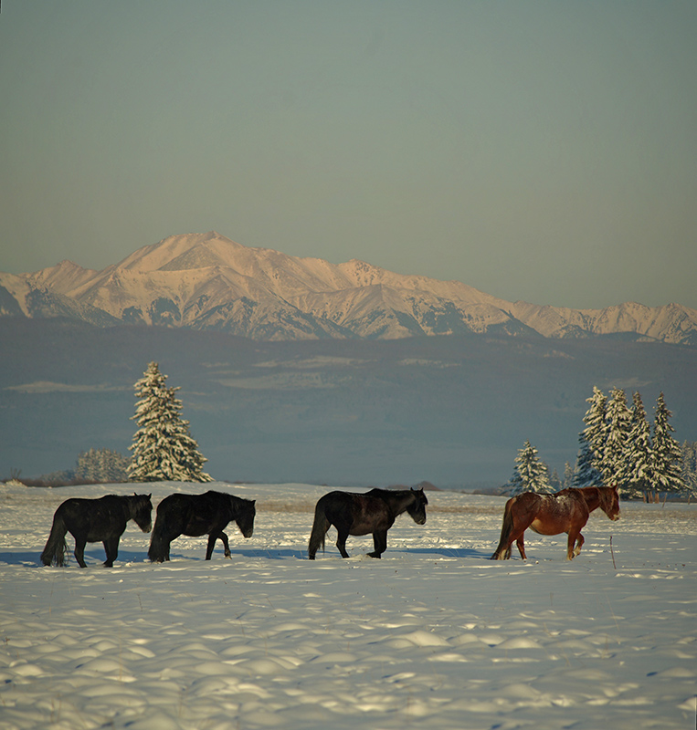 ���������� �������